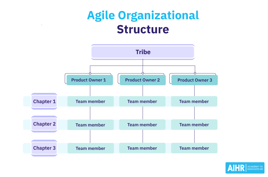 Example of an organization with a agile organizational structure.