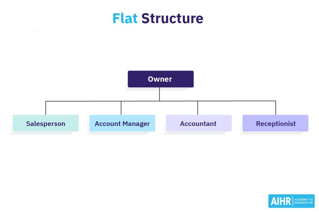 Example of an organization with a flat structure.