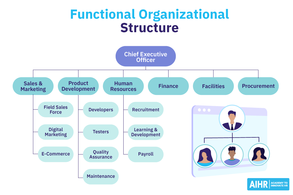 Functional structure organization chart.