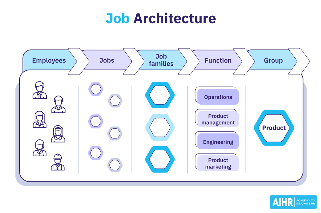 Diagram showing job architecture hierarchy, including employees, jobs, job families, function, and group.