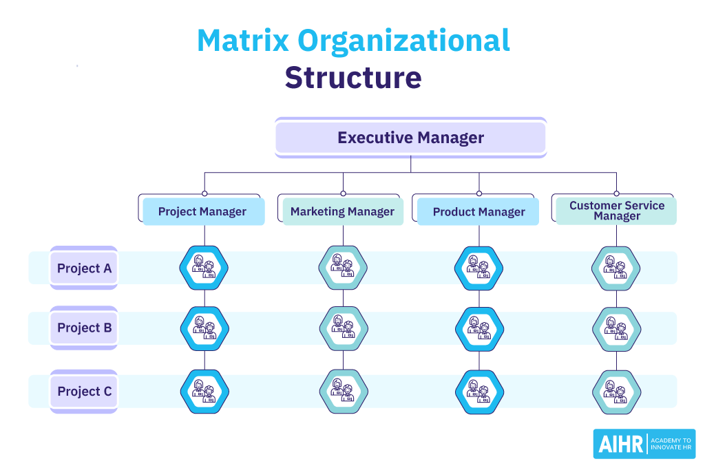 Example of an organization with a matrix organizational structure.