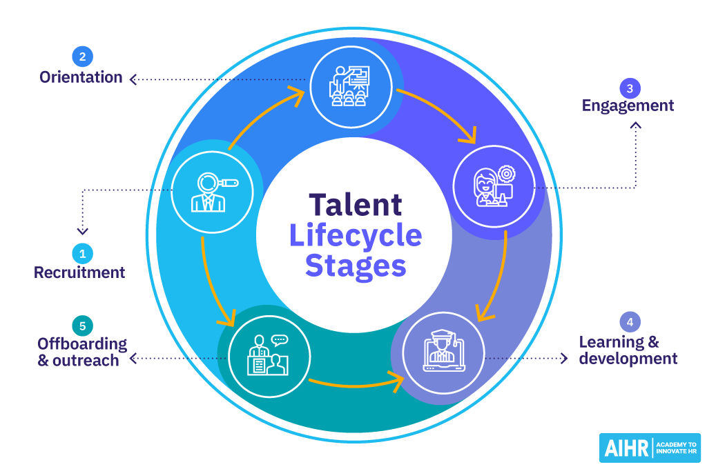 The talent lifecycle stagesare recruitment, orientation, engagement, earning and development & offboarding and outreach.
